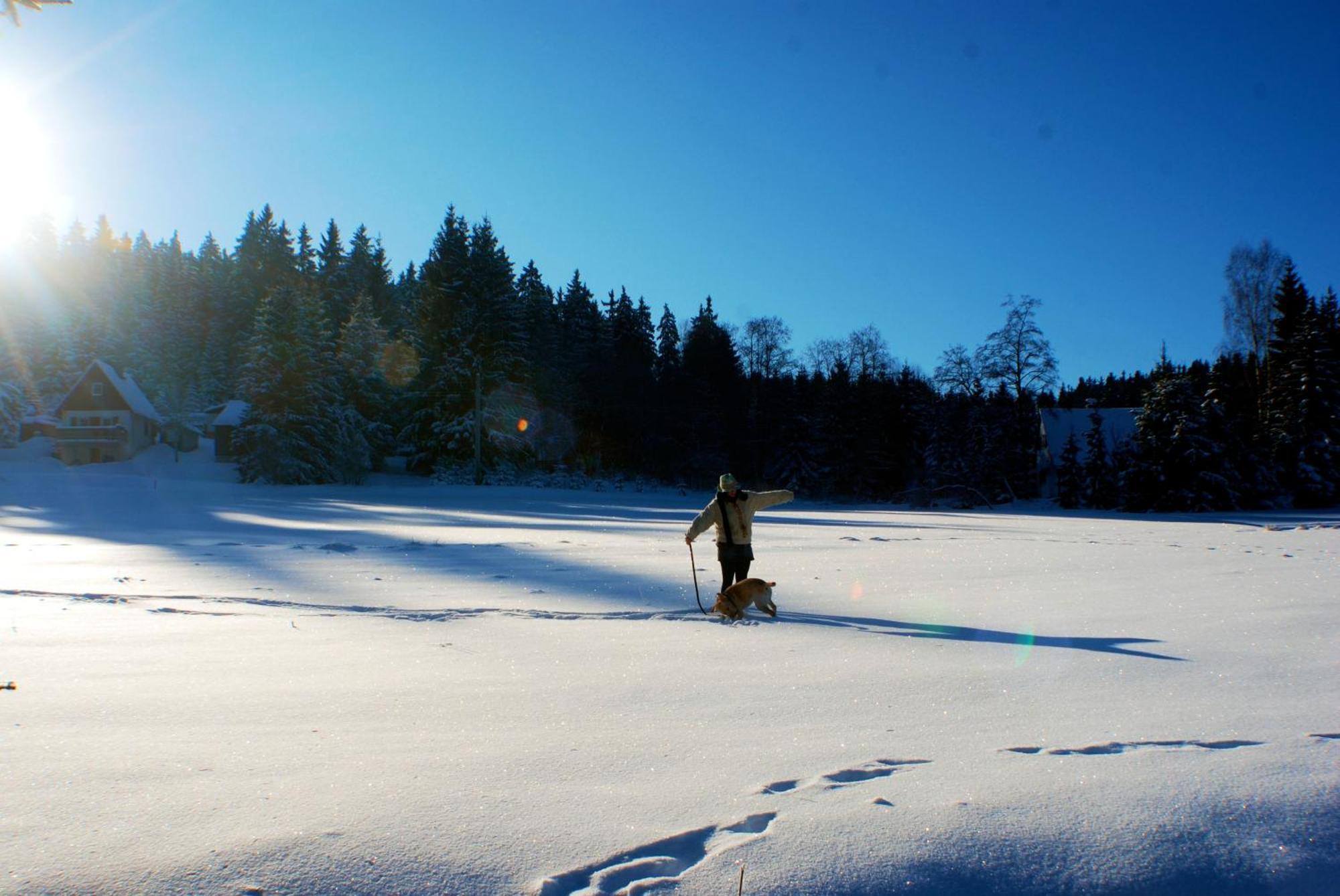 Waldgasthaus & Pension Teichhaus Holzhau Buitenkant foto