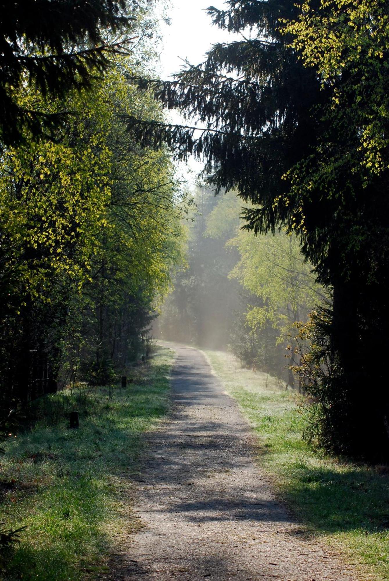 Waldgasthaus & Pension Teichhaus Holzhau Buitenkant foto