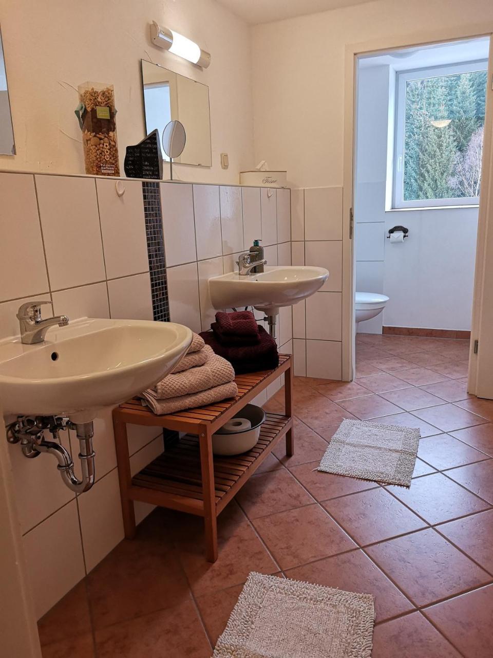 Waldgasthaus & Pension Teichhaus Holzhau Buitenkant foto